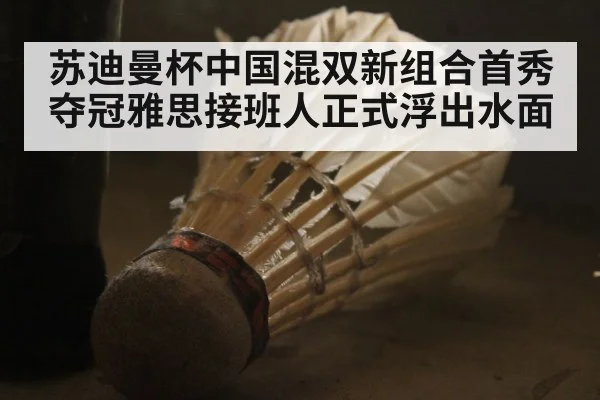 苏迪曼杯中国混双新组合首秀夺冠雅思接班人正式浮出水面